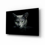 Cat glass wall art displayed above a console in a designer interior
