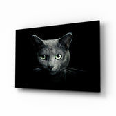 Cat glass wall art displayed above a console in a designer interior