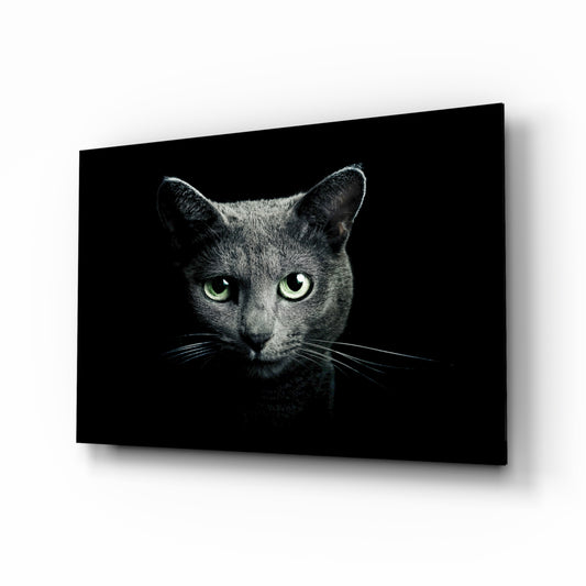 Cat glass wall art displayed above a console in a designer interior