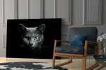 Cat glass print enhancing a hallway with quiet drama