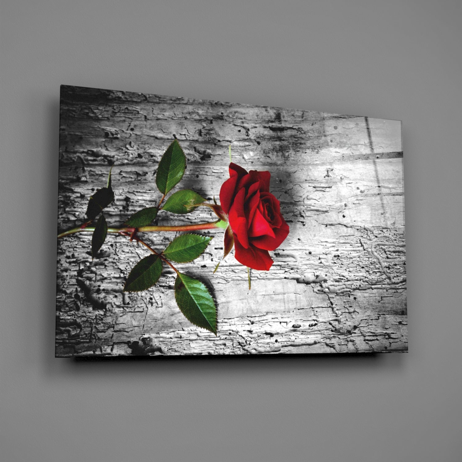 Red Rose Glass Wall Art.