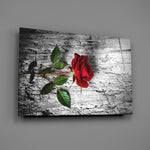 Crimson-rose panel bringing romantic warmth to a contemporary living space