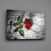 Crimson-rose panel bringing romantic warmth to a contemporary living space