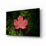 Pink Leaf glass wall art displayed above a console in a designer interior