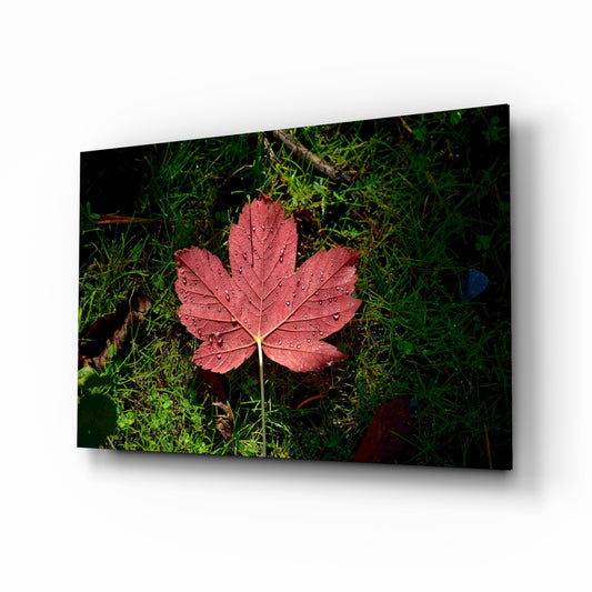 Pink Leaf glass wall art displayed above a console in a designer interior