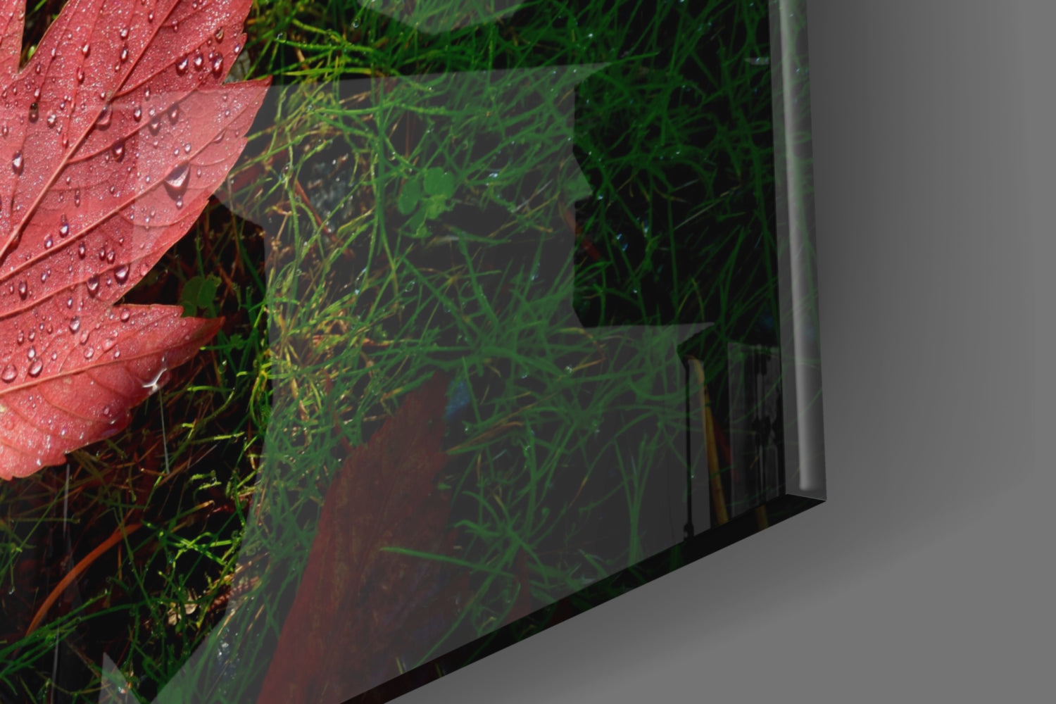 Pink Leaf Glass Wall Art.