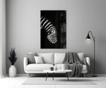 Close-up detail of monochrome stripes on velvet black