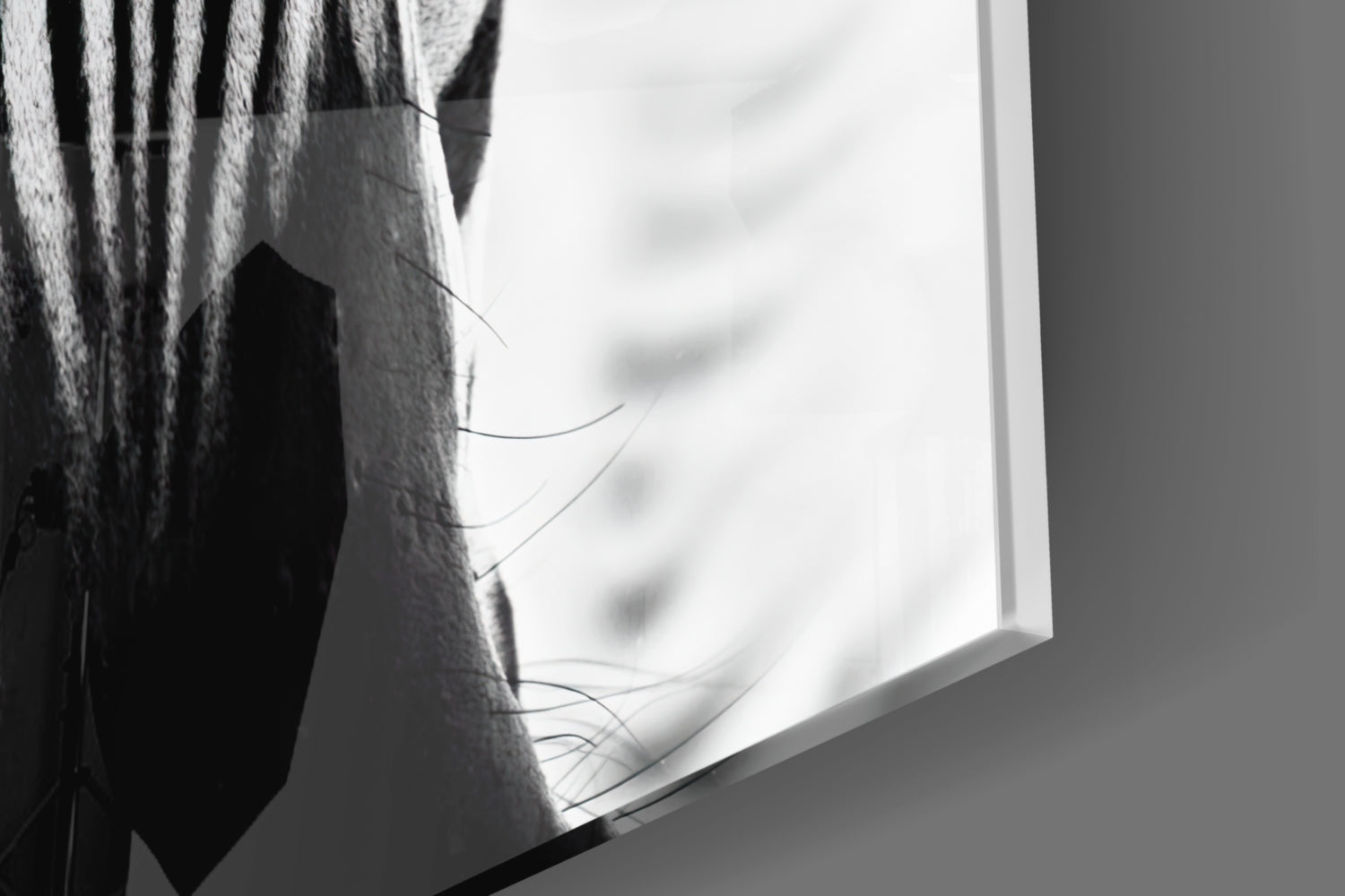 Zebra Glass Wall Art.