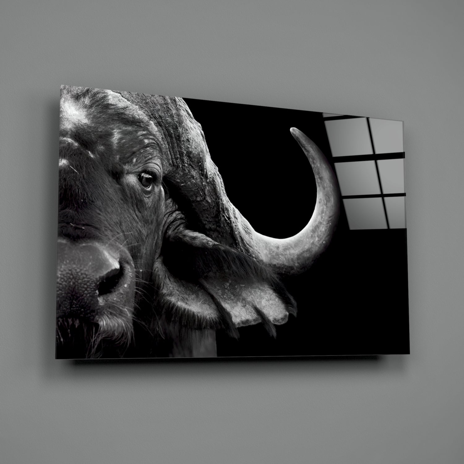 Bison Glass Wall Art.