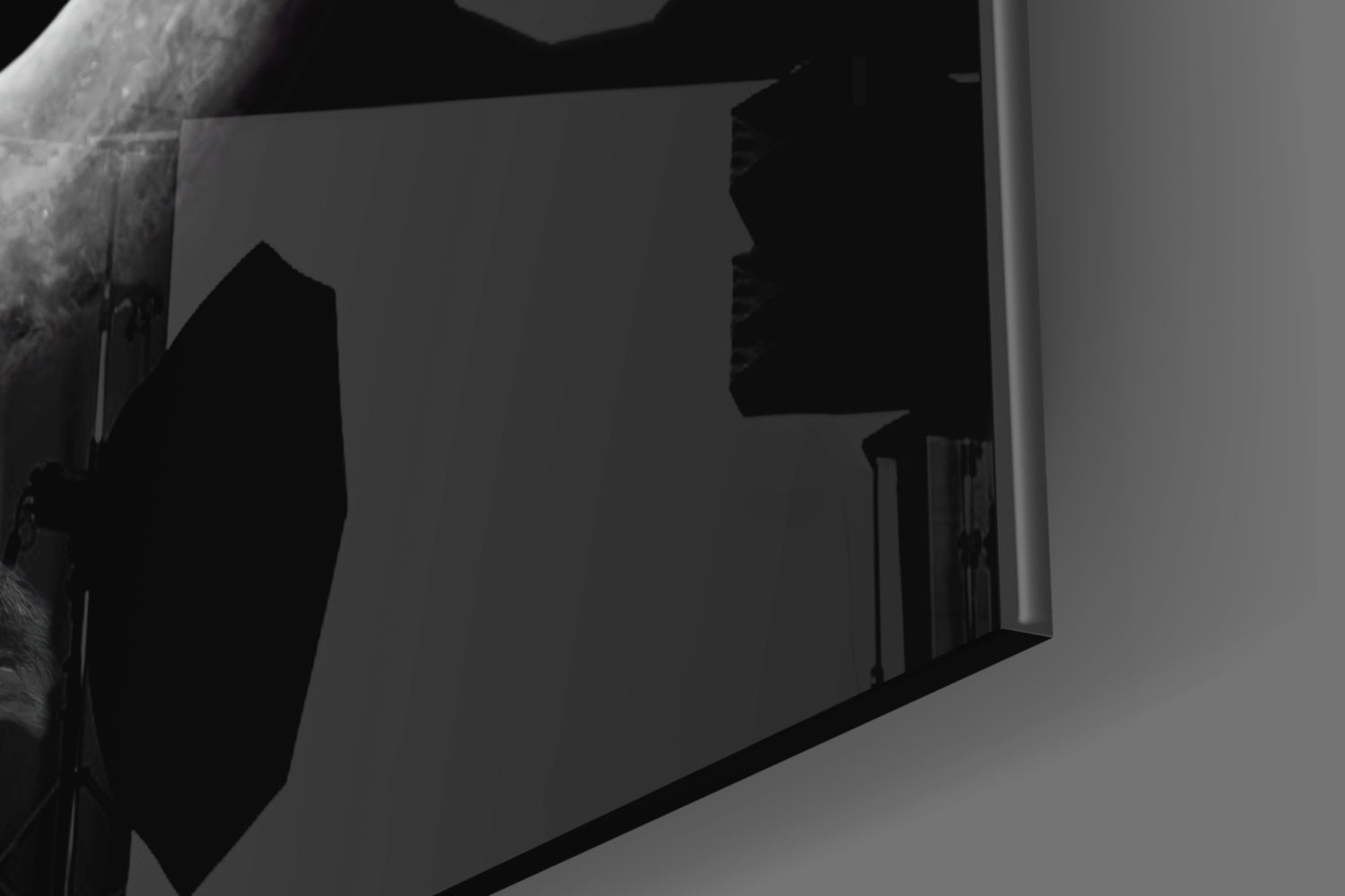 Bison Glass Wall Art.