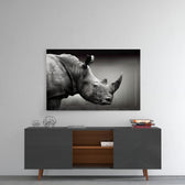 Rhino panel catching low light to reveal its tactile grain