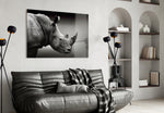 Rhino glass wall art styled above a desk in an introspective study