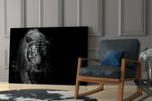Tiger glass print enhancing a hallway with wild drama