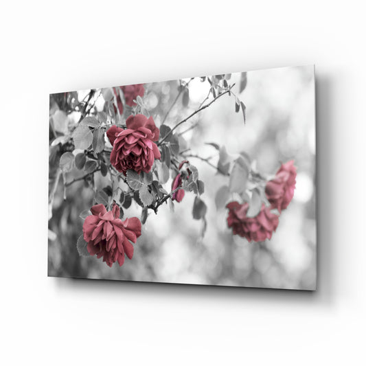 Pink Roses glass wall art displayed above a console in a designer interior