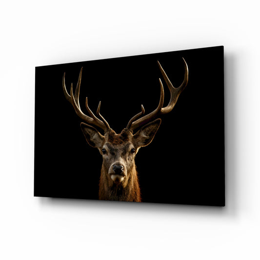 Deer glass wall art displayed above a console in a designer interior