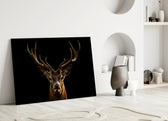 Close-up detail of branched antlers and mahogany fur