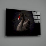 Black-swan panel bringing elegant drama to a contemporary living space