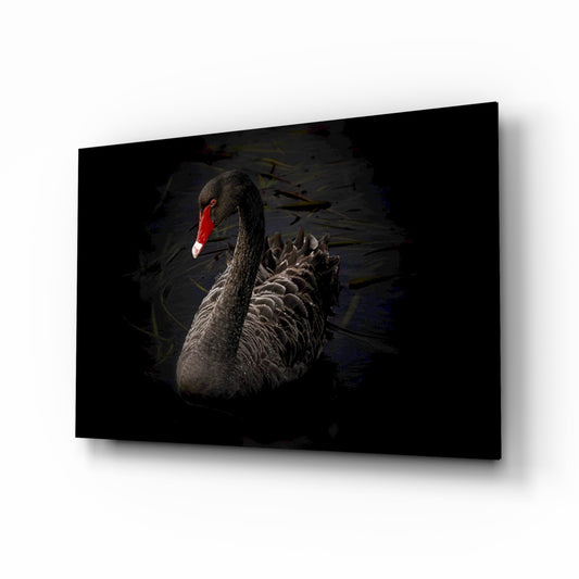 Black Swan glass wall art displayed above a console in a designer interior