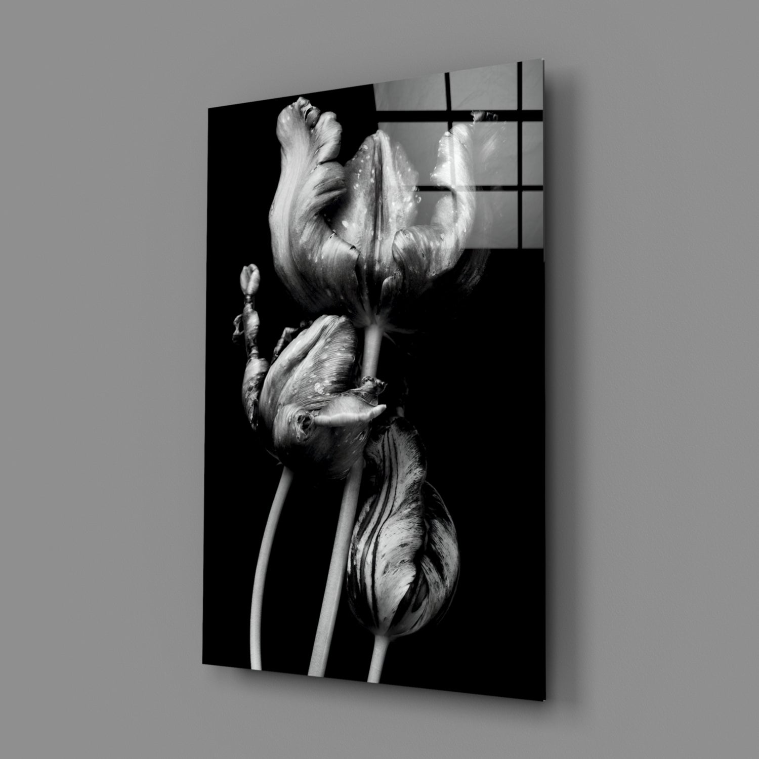 Black and White Flowers Glass Wall Art.