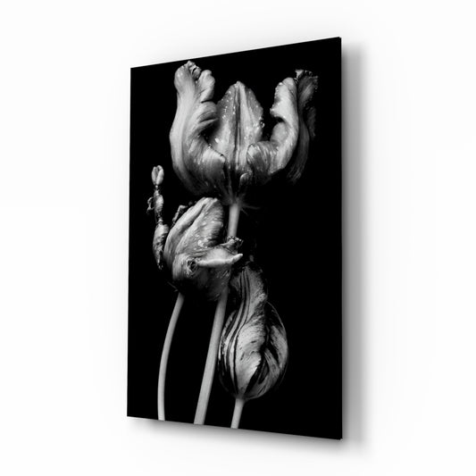 Black and White Flowers glass wall art displayed above a console in a designer interior