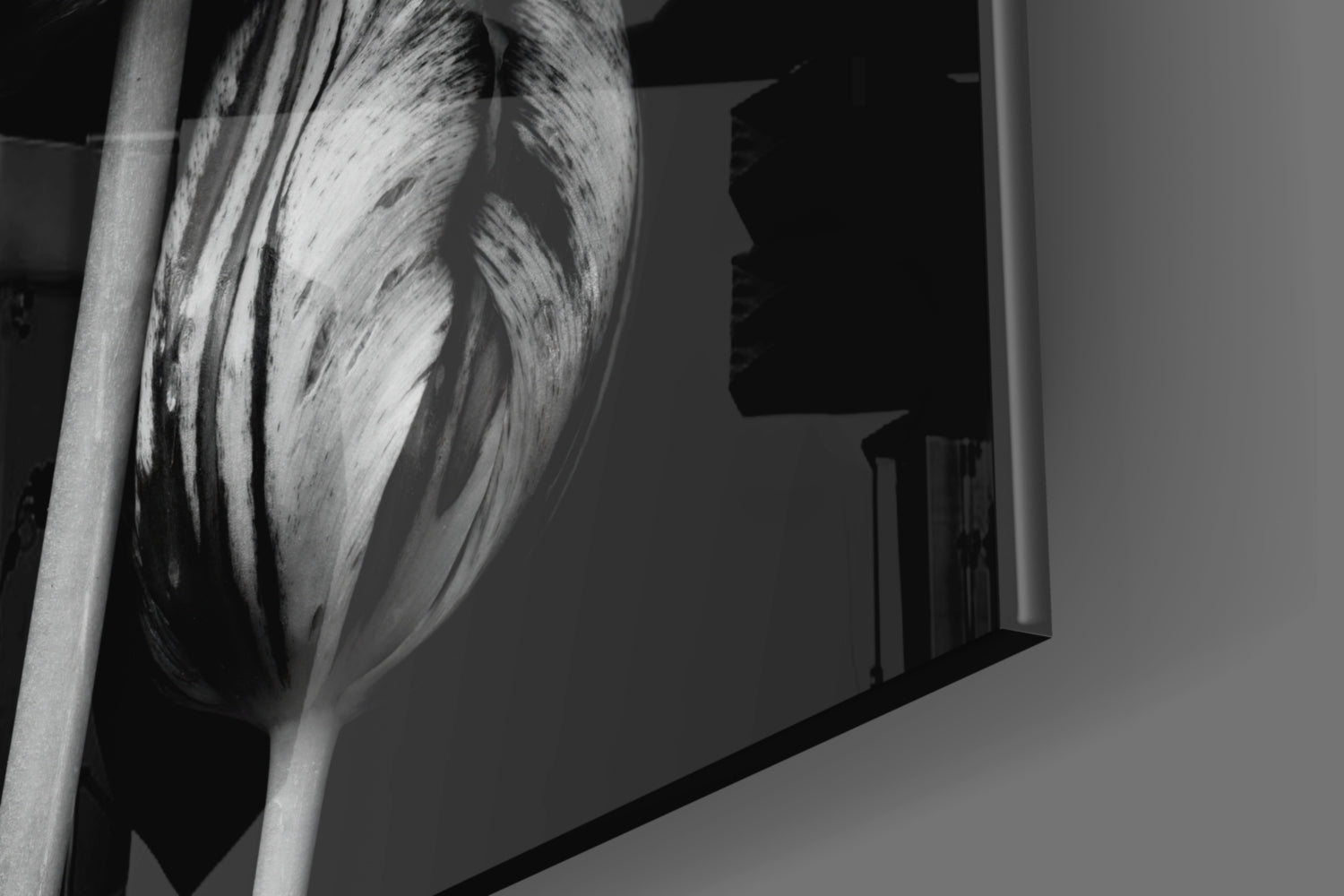 Black and White Flowers Glass Wall Art.