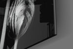 Black and White Flowers artwork anchoring a wall with moody romantic palette