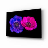 Crowned Mountain Tulip glass wall art displayed above a console in a designer interior