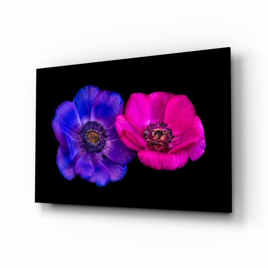 Crowned Mountain Tulip glass wall art displayed above a console in a designer interior
