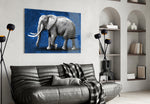 Cobalt Elephant glass wall art styled above a desk in a study