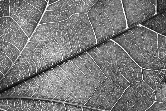 Silver Veins — Haptic 3D Embossed + Gloss Lacquer Print