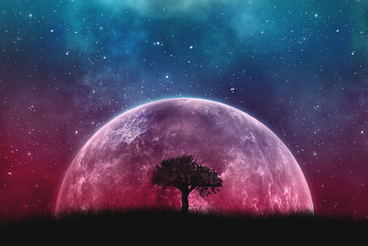 Cosmic Lunar Solitude — 3D Haptic Embossed High-Gloss Luxury Wall Art