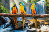 Havre du trio tropical — Œuvre murale de luxe à relief haptique 3D ultra-brillante