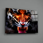 Close-up detail of Bengal tiger snarl behind glass