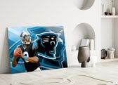 Close-up detail of Panthers logo behind glass