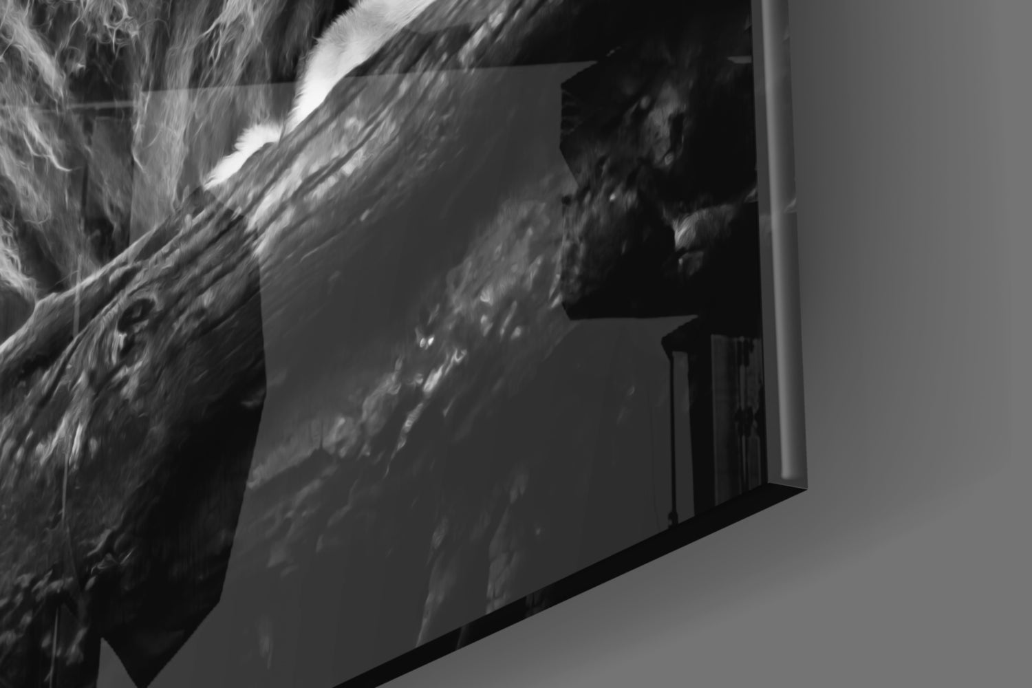 Lion Glass Wall Art.