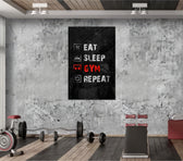 Eat, Sleep, Gym glass wall art catching light to reveal its painted icons