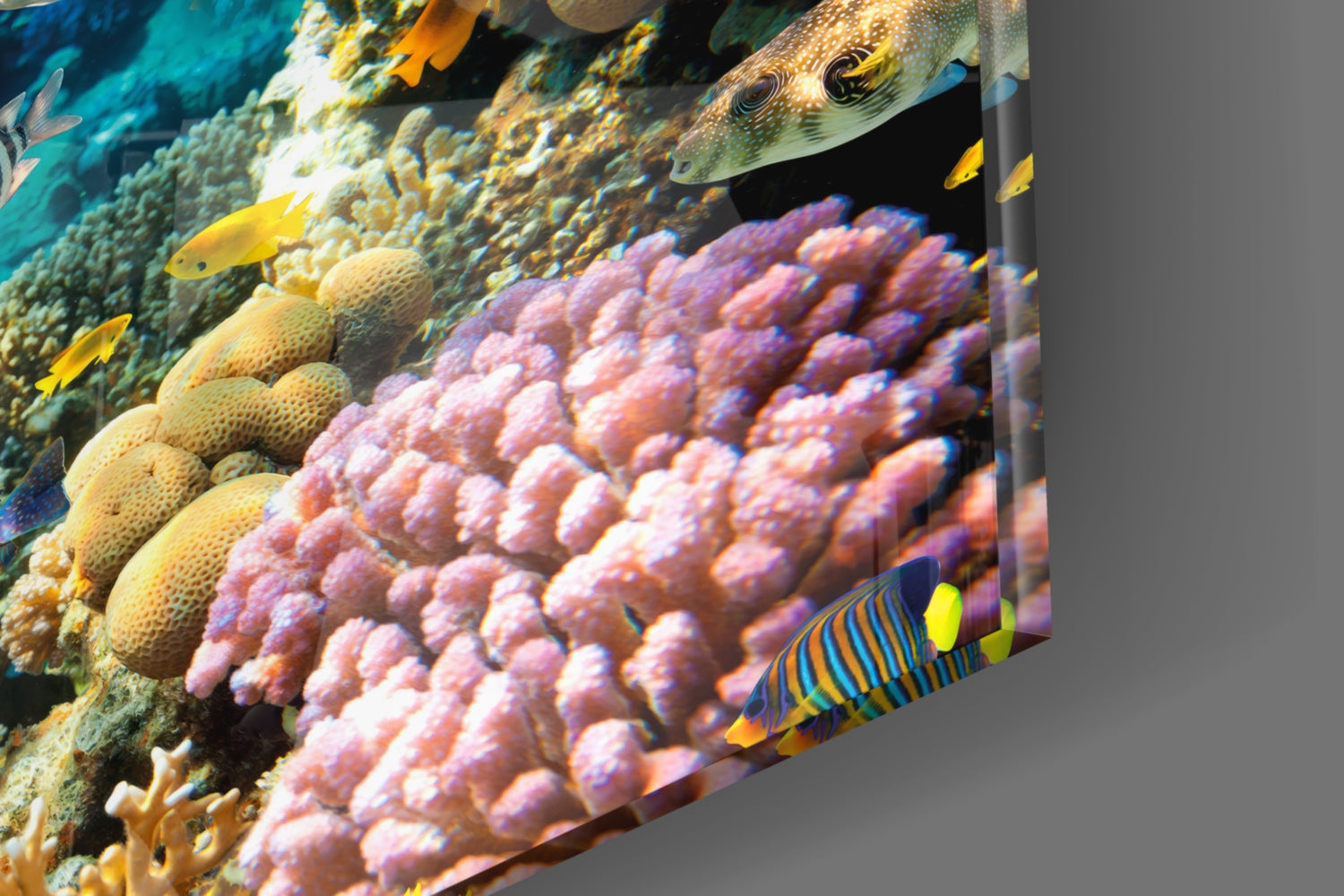 Underworld Glass Wall Art.