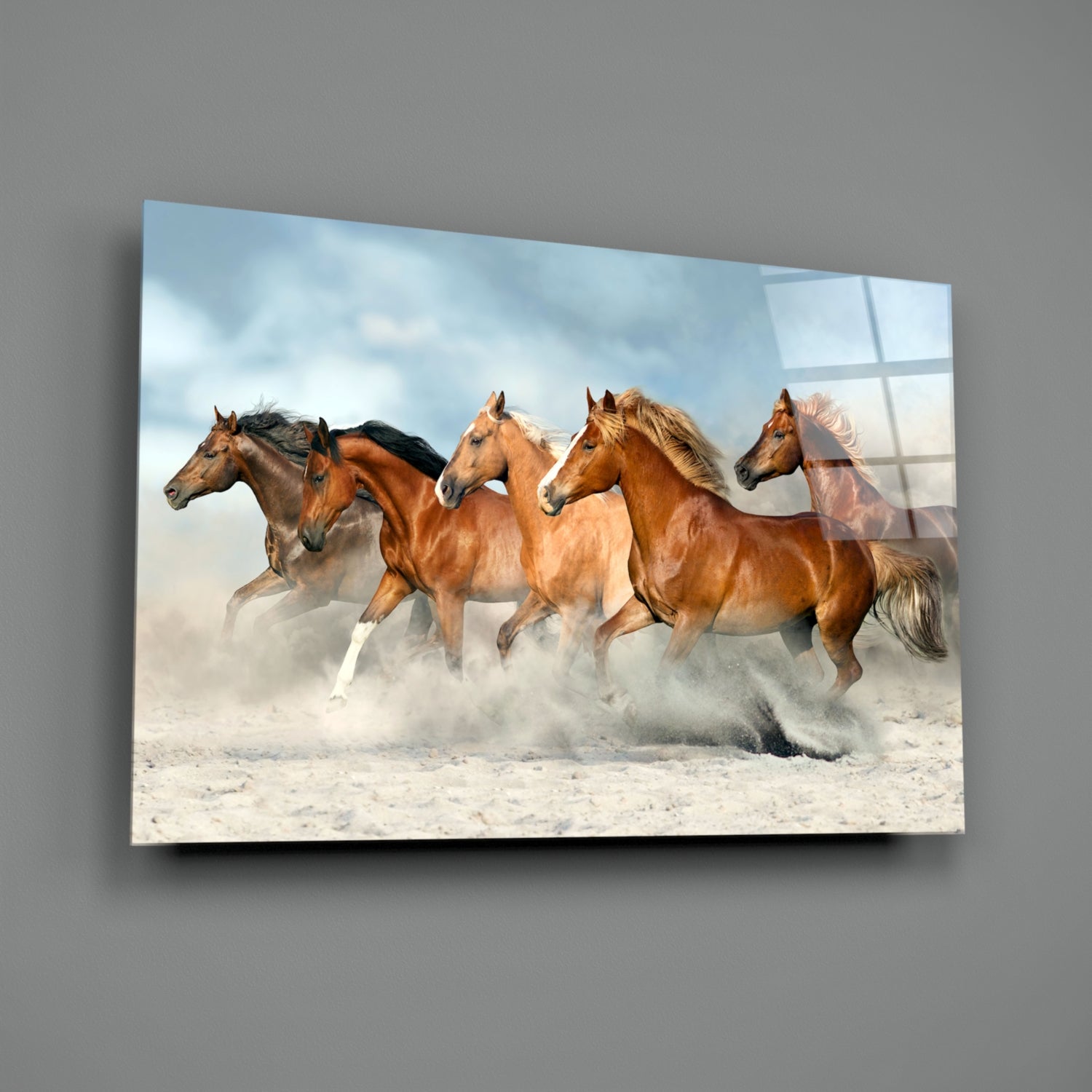 Horses Glass Wall Art.