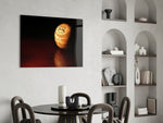 Sports glass print bringing memorabilia edge to a home library