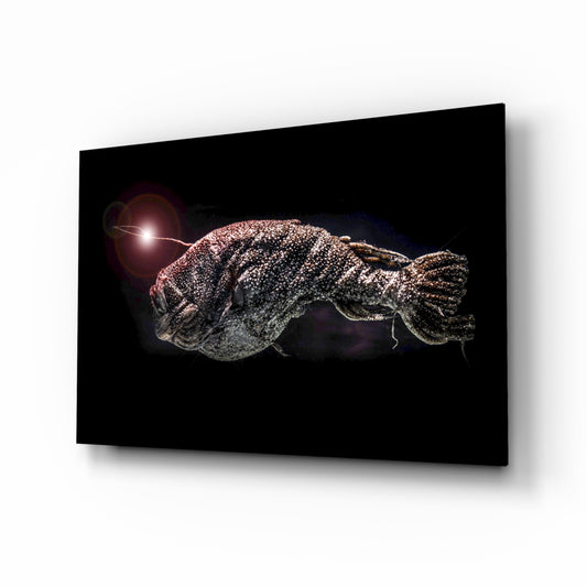 Deepsea Fish glass wall art in a modern study