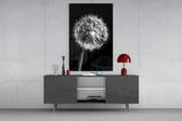 Dandelion glass wall art catching light to reveal its painted ivory fibres
