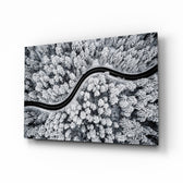 Forest Landscape glass wall art in a modern living room