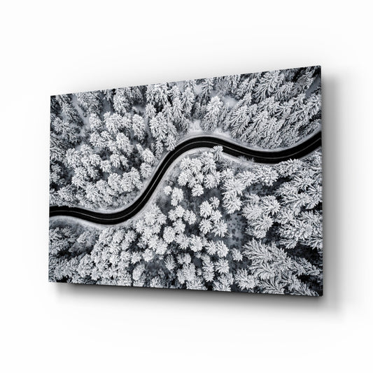 Forest Landscape glass wall art in a modern living room