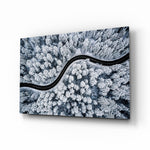 Forest Landscape glass wall art in a modern living room
