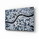 Forest Landscape glass wall art in a modern living room