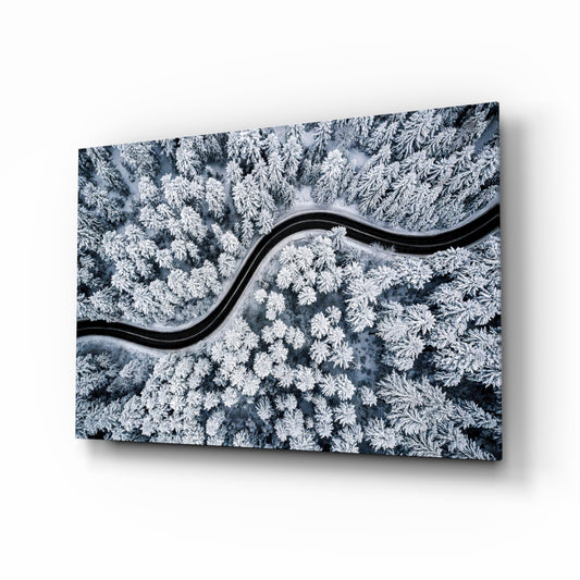 Forest Landscape glass wall art in a modern living room