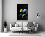 Close-up detail of cobalt morpho butterfly behind glass