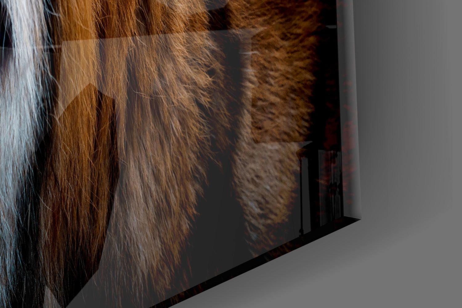 Tiger Glass Wall Art.