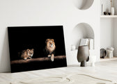 Close-up detail of lion couple on russet log behind glass