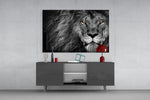 Lion glass wall art catching light to reveal its painted selective amber eyes